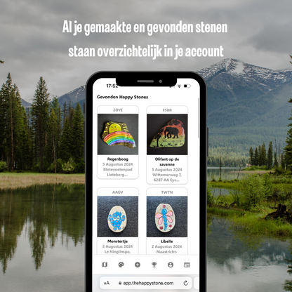 Handgeselecteerde Grijze Rivierstenen om te beschilderen 3-5 cm + QR Codes voor de App