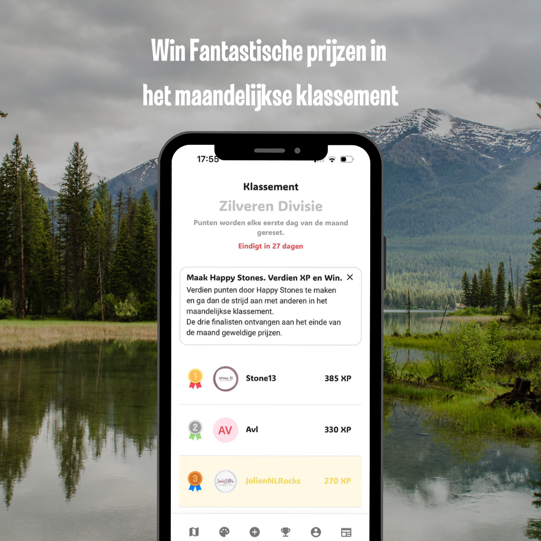 Handgeselecteerde Grijze Rivierstenen om te beschilderen 3-5 cm + QR Codes voor de App