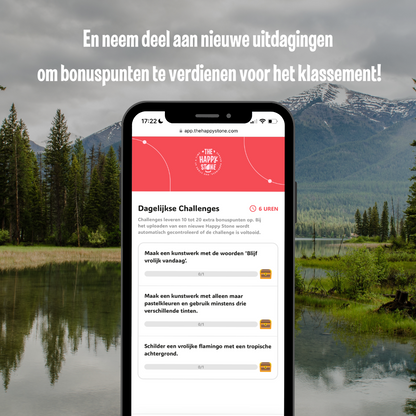 15 Grijze Graniet Schijven M + QR Codes voor de App